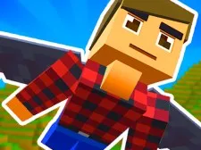 Elytra Flight